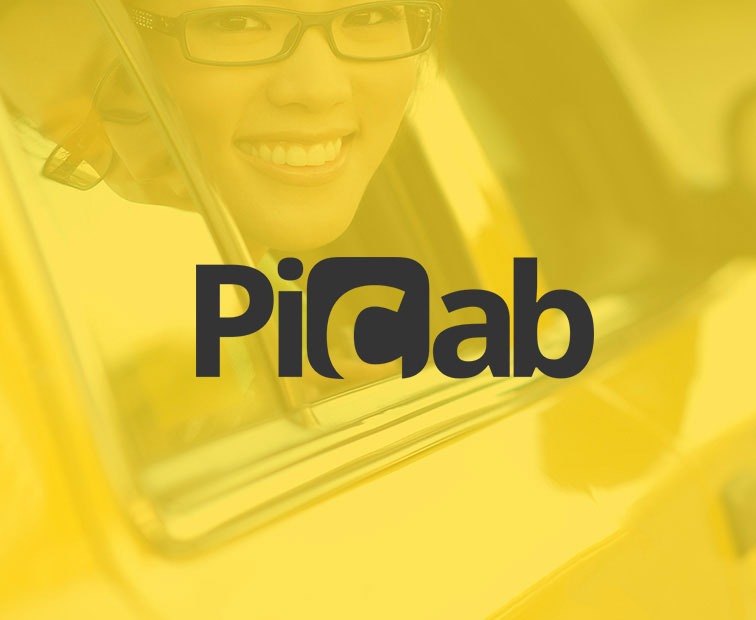 Picab 