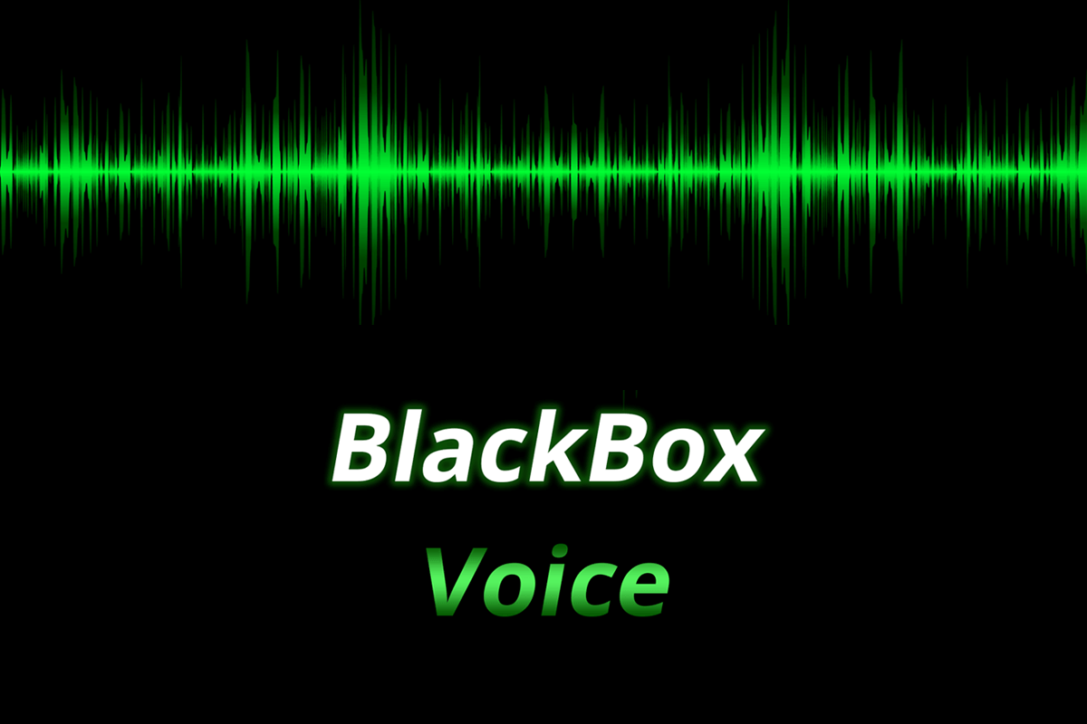 BlackBox Voice